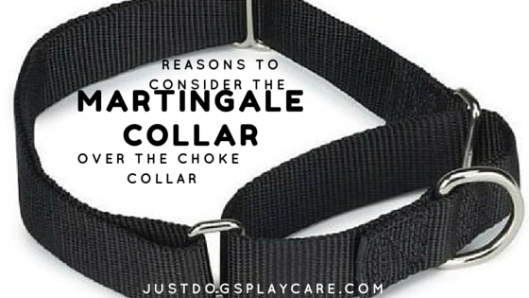 martingale collars