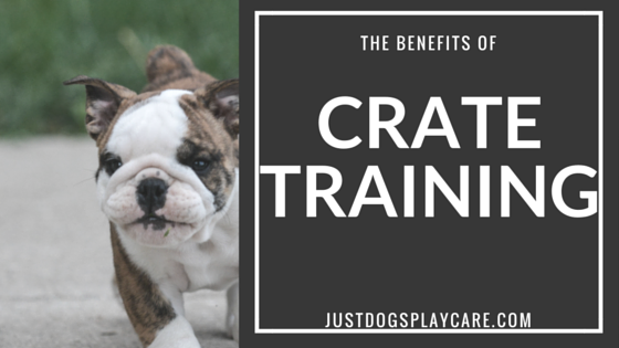 the benefits of crate training