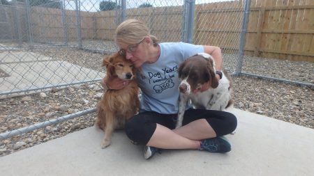 kennel coralville